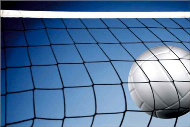 Selex V - 350 Voleybol Ağı