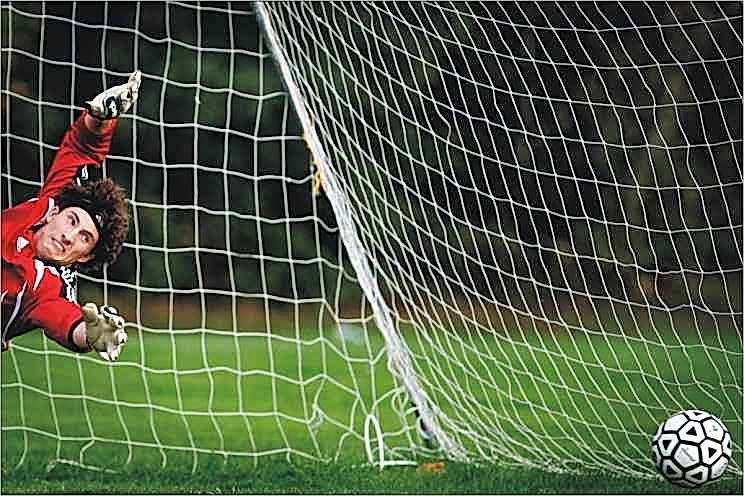 Selex S-025W Futbol Kale Ağı