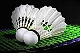 Badminton Topları