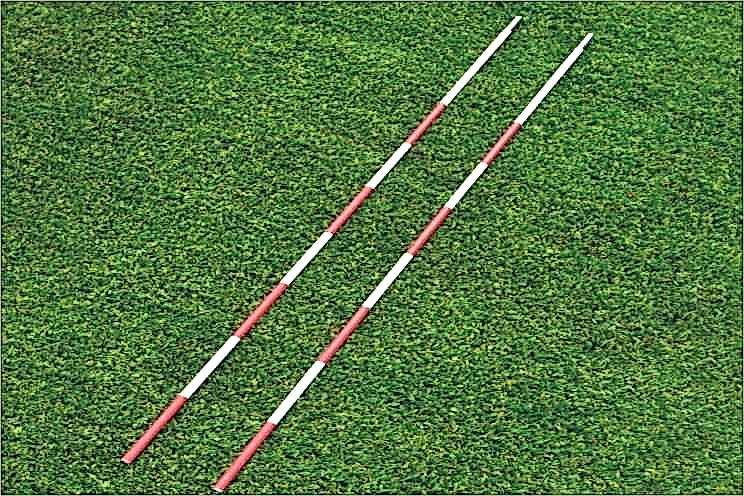 Selex Fiber Vol. Anteni