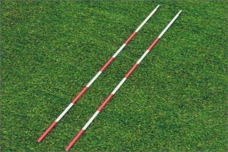 Selex Voleybol Anteni