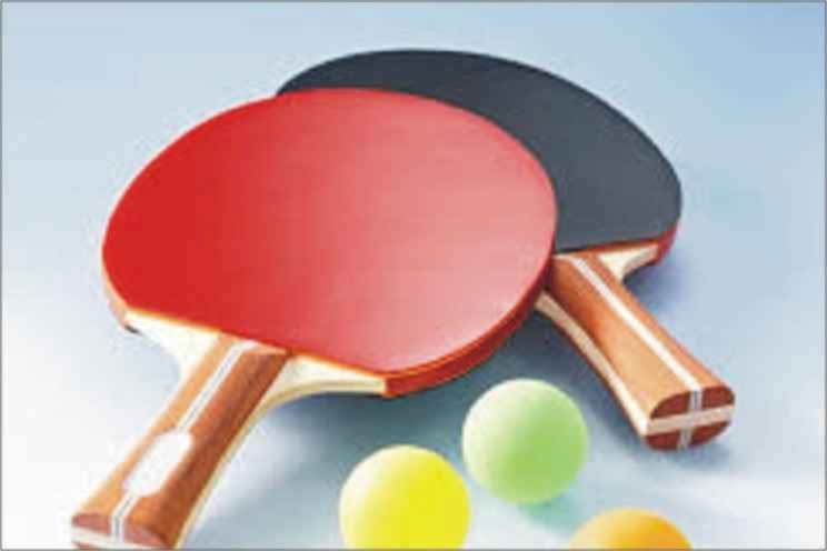 Masa Tenisi Raketleri