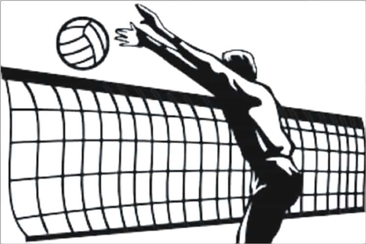 Erkek Voleybol Formaları